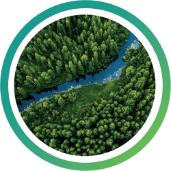 探索松脂化学 A circular image of a pine forest with a blue river, representative of Kraton's mission to provide sustainable chemicals to global industries.